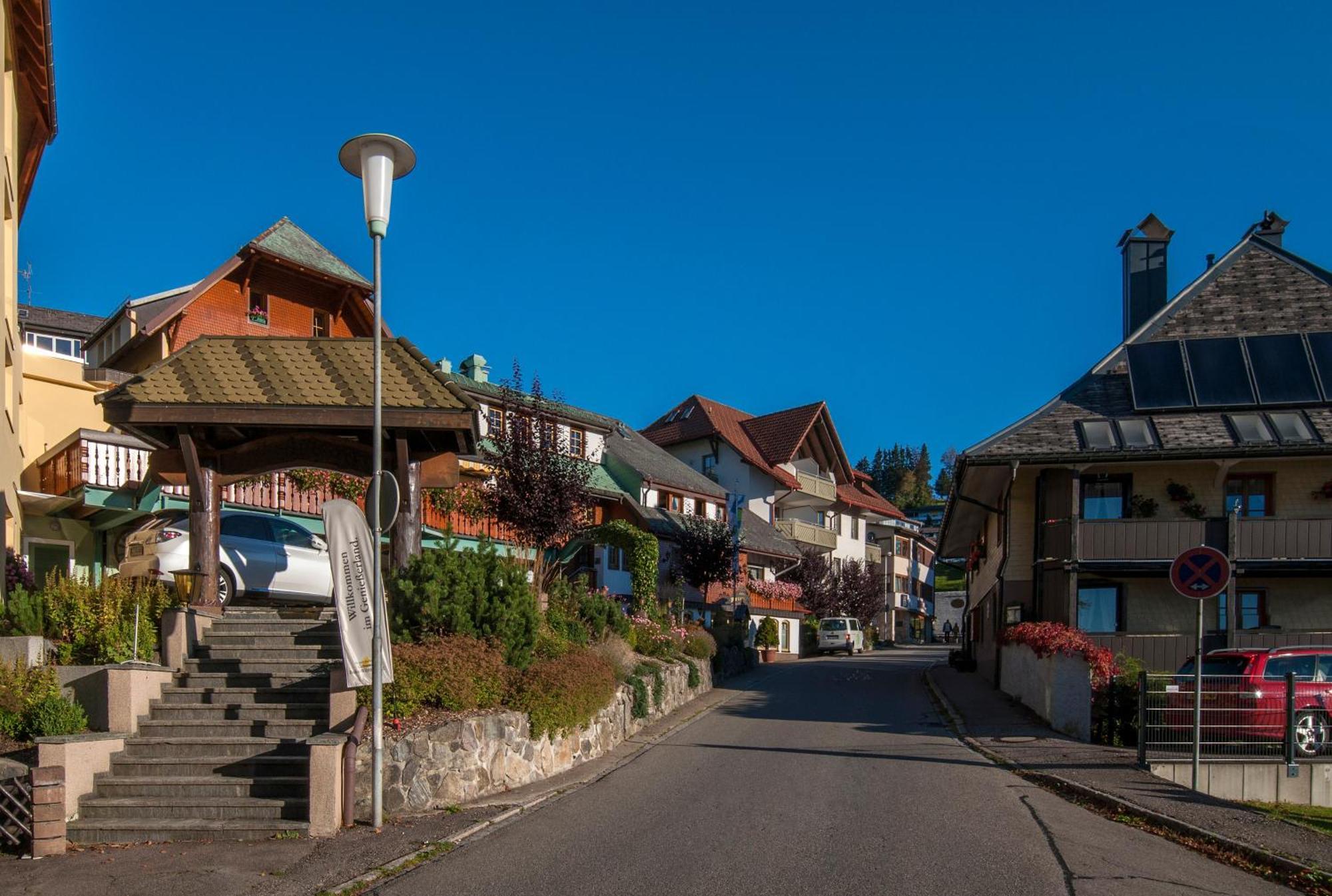 Apartment 06 - Ferienresidenz Roseneck, 2 Schlafzimmer, Mit Schwimmbad In Todtnauberg Bei Feldberg ภายนอก รูปภาพ