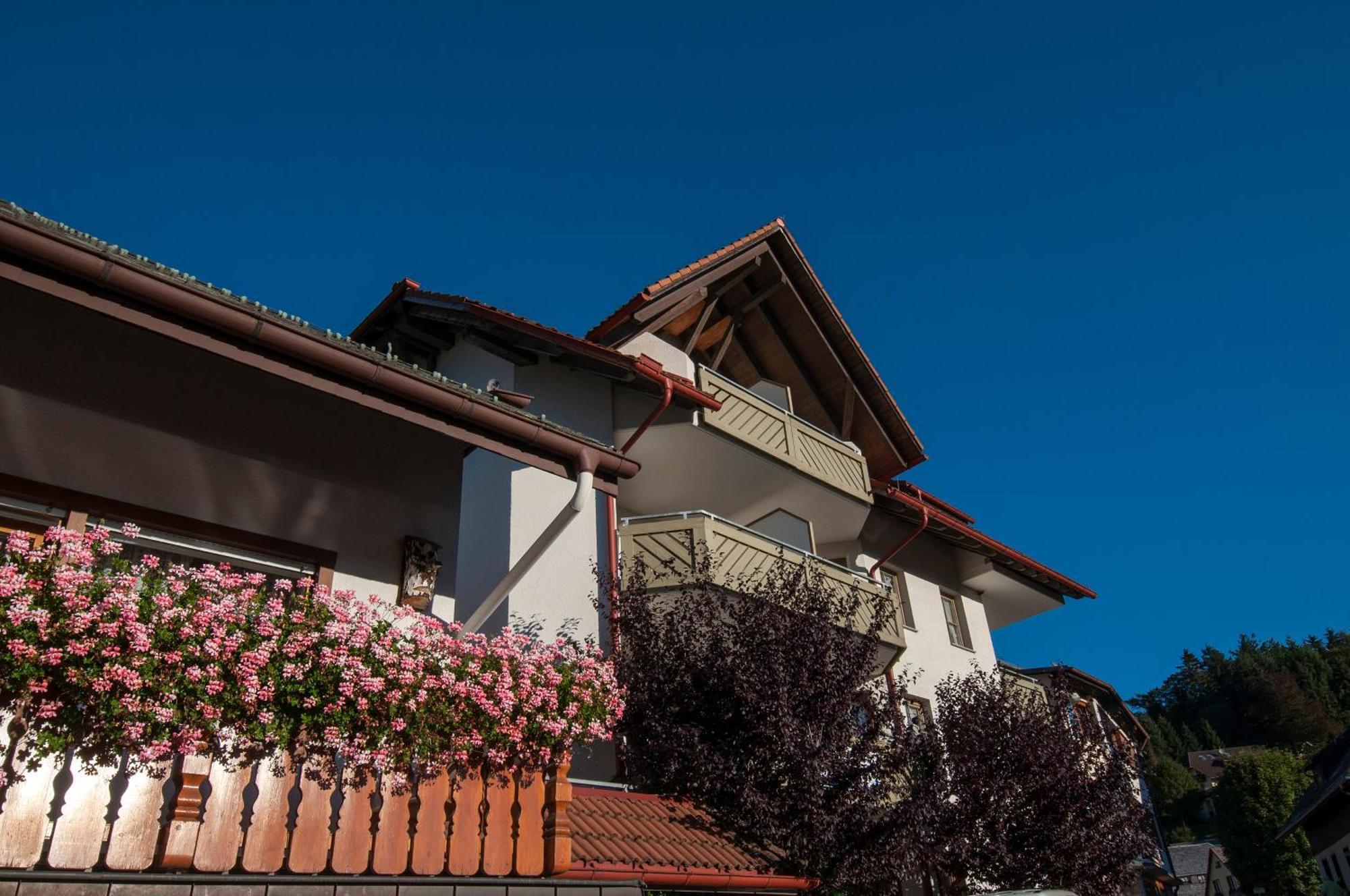 Apartment 06 - Ferienresidenz Roseneck, 2 Schlafzimmer, Mit Schwimmbad In Todtnauberg Bei Feldberg ภายนอก รูปภาพ