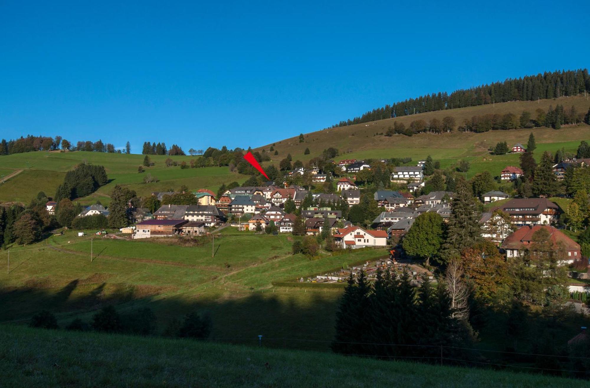 Apartment 06 - Ferienresidenz Roseneck, 2 Schlafzimmer, Mit Schwimmbad In Todtnauberg Bei Feldberg ภายนอก รูปภาพ