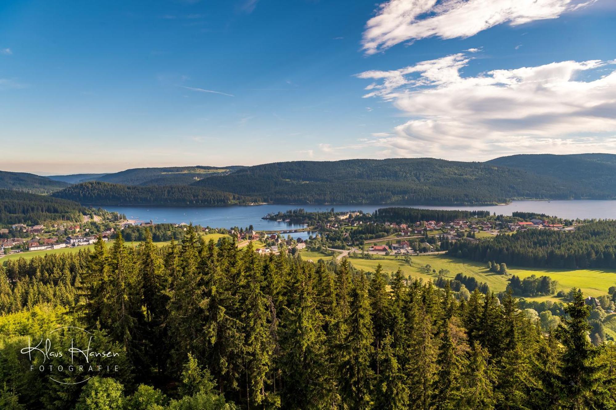 Apartment 06 - Ferienresidenz Roseneck, 2 Schlafzimmer, Mit Schwimmbad In Todtnauberg Bei Feldberg ภายนอก รูปภาพ
